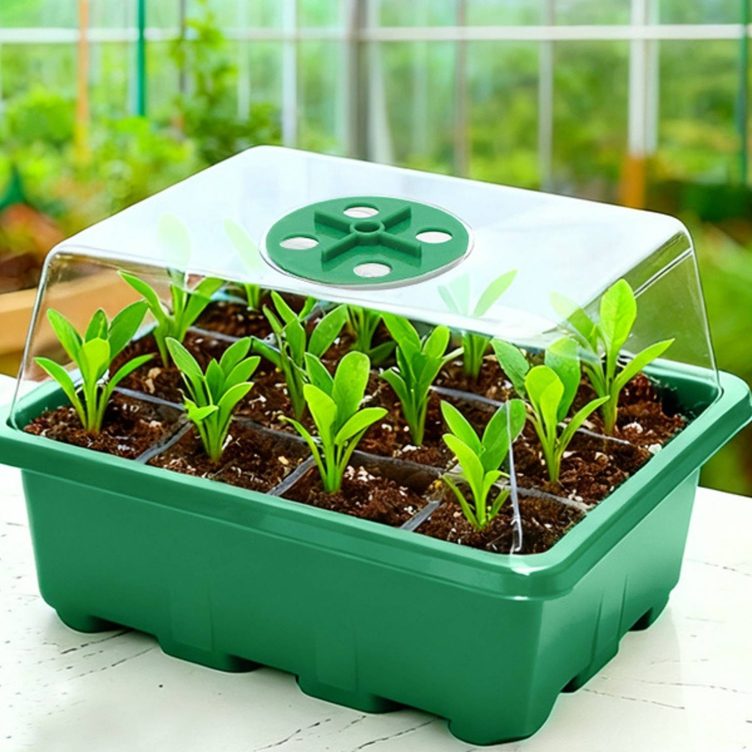 Self Watering Seedling Tray: image 4