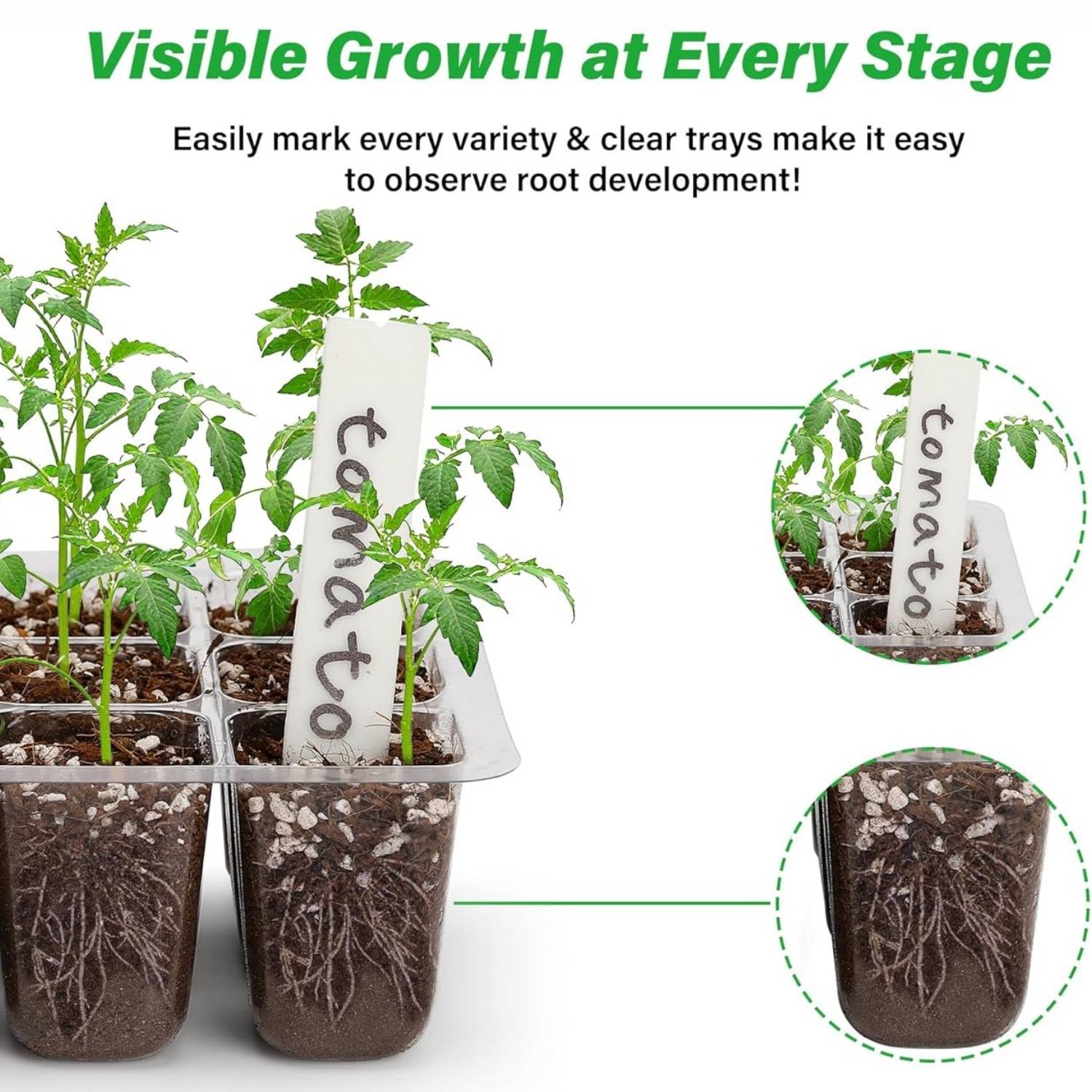 Self Watering Seedling Tray: image 8
