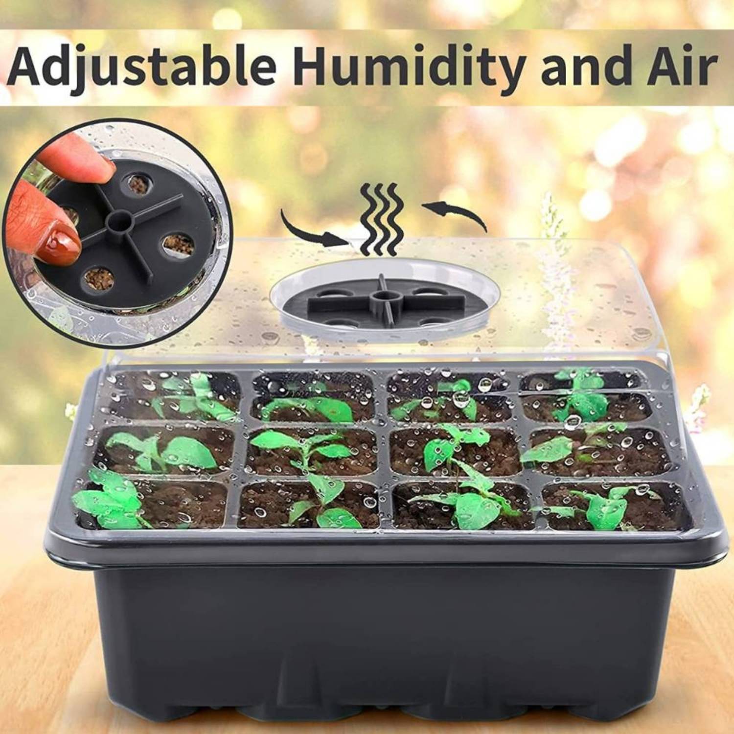 Self Watering Seedling Tray: image 10