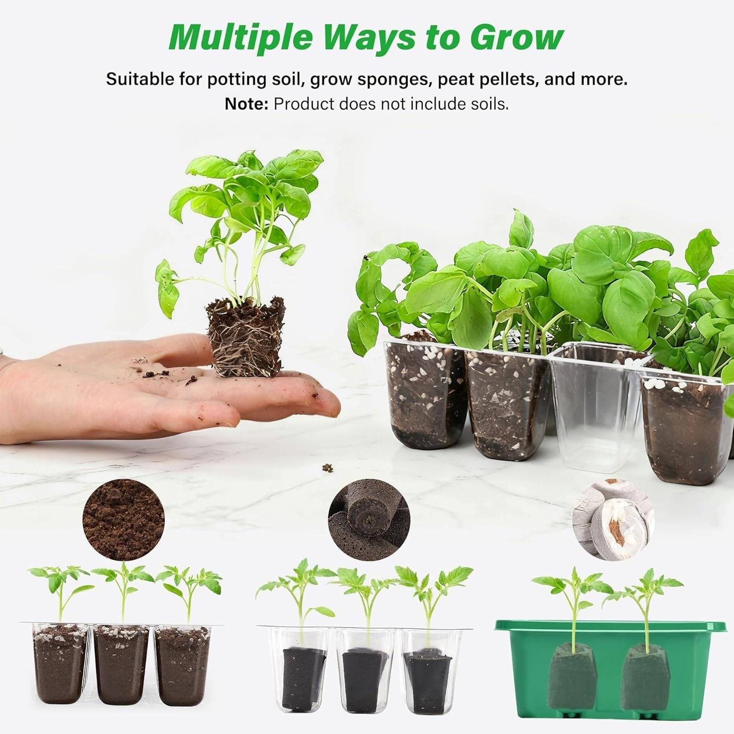 Self Watering Seedling Tray: image 11