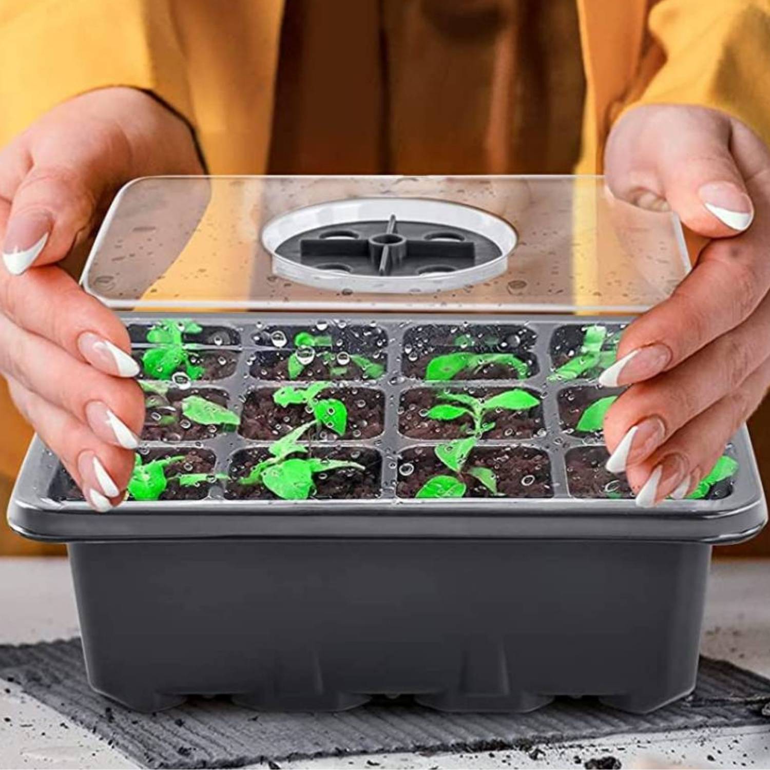 Self Watering Seedling Tray: image 12