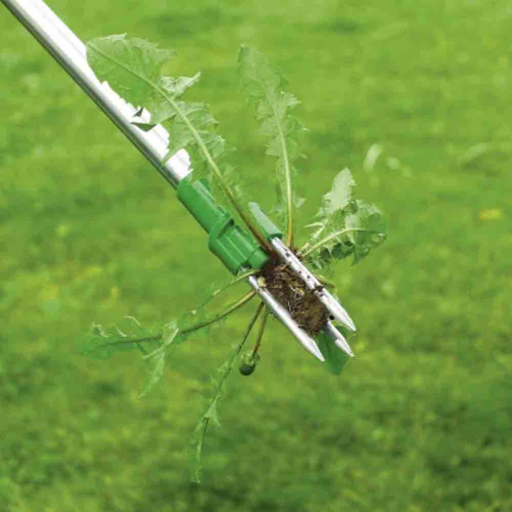 Stand Up Root Removal