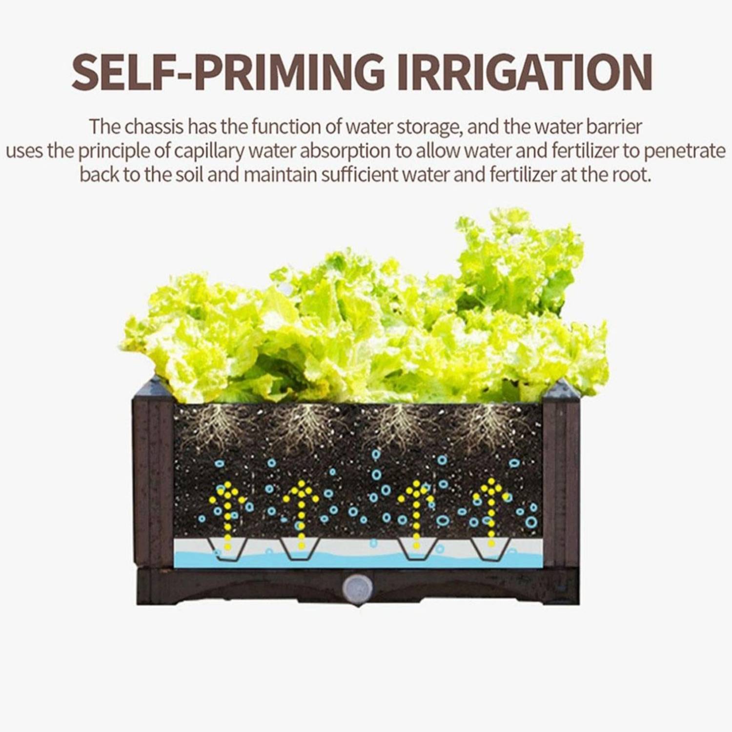 best raised garden beds