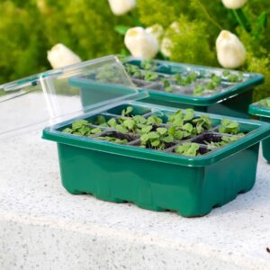 Self Watering Seedling Tray | Seedling Trays With Dome | Self Watering Seed Tray